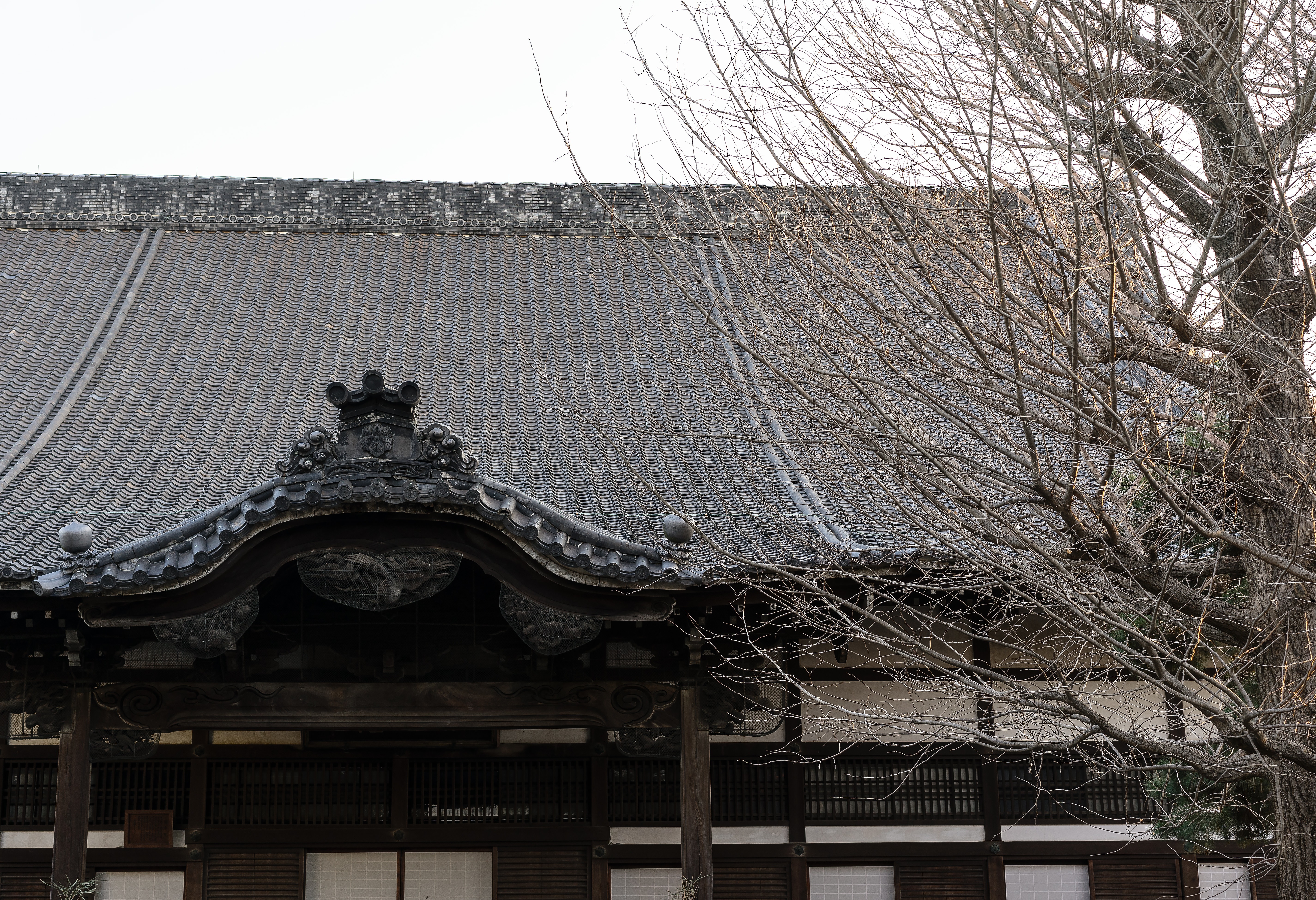 名古屋のお寺や神社に行こう